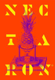 Nectaron FKA (Hort 4337)